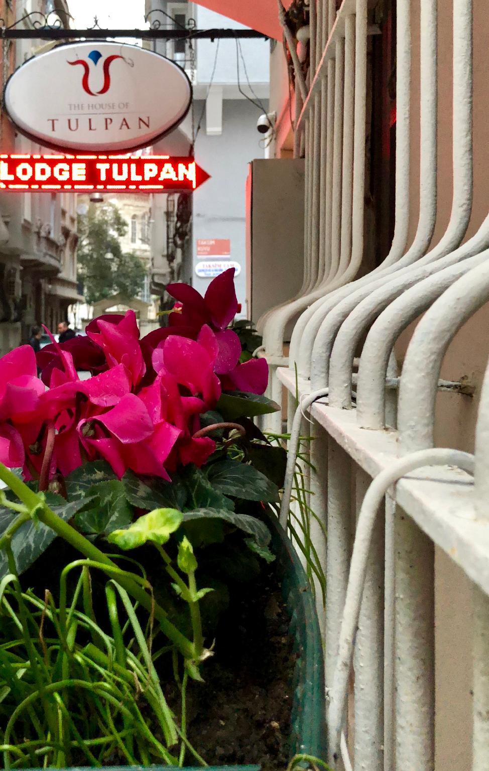 The House Of Tulpan Hotel Provincia di Provincia di Istanbul Esterno foto